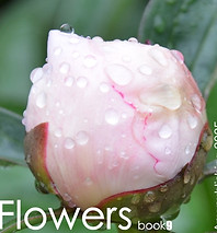 photo book9 any publishing.jpg