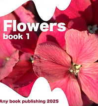 photo book3 any publishing.jpg