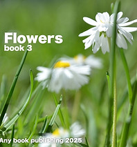 photo book6 any publishing.jpg