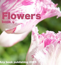 photo book4 any publishing.jpg