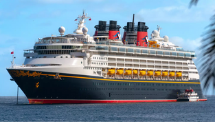 Girl, 5, Fell Off Disney Cruise: Mother's Chilling Instruction Revealed by Authorities