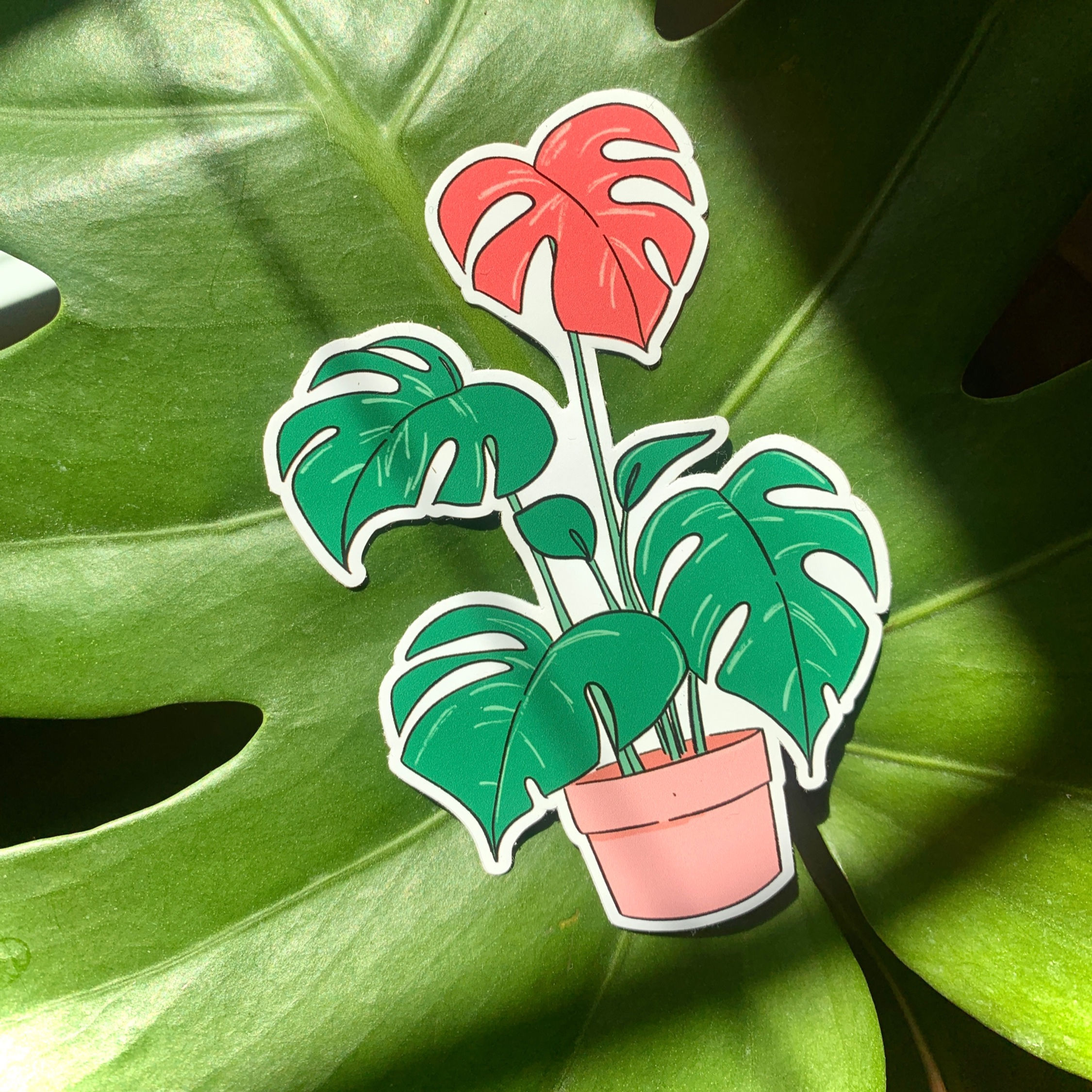 Monstera Heart Sticker