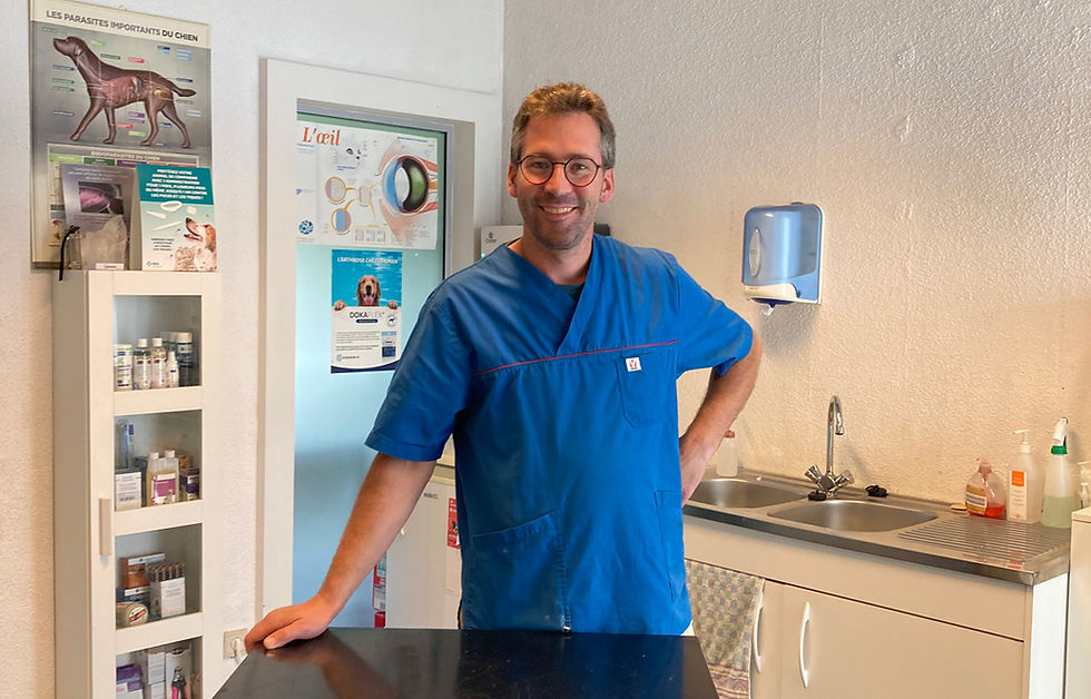 Dr Jentges vétérinaire dans son studio
