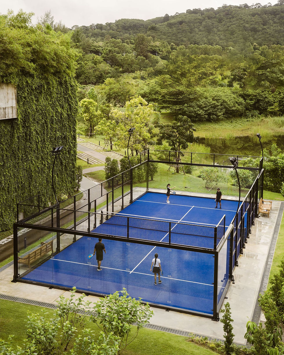 Padel Tennis-1.jpg.webp