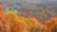 Sugarloaf-Heritage-Council-Heritage-Hero-Image.jpg