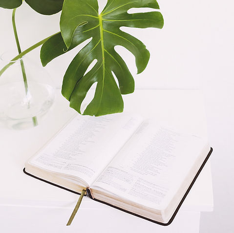 bible you me and nfp.jpg