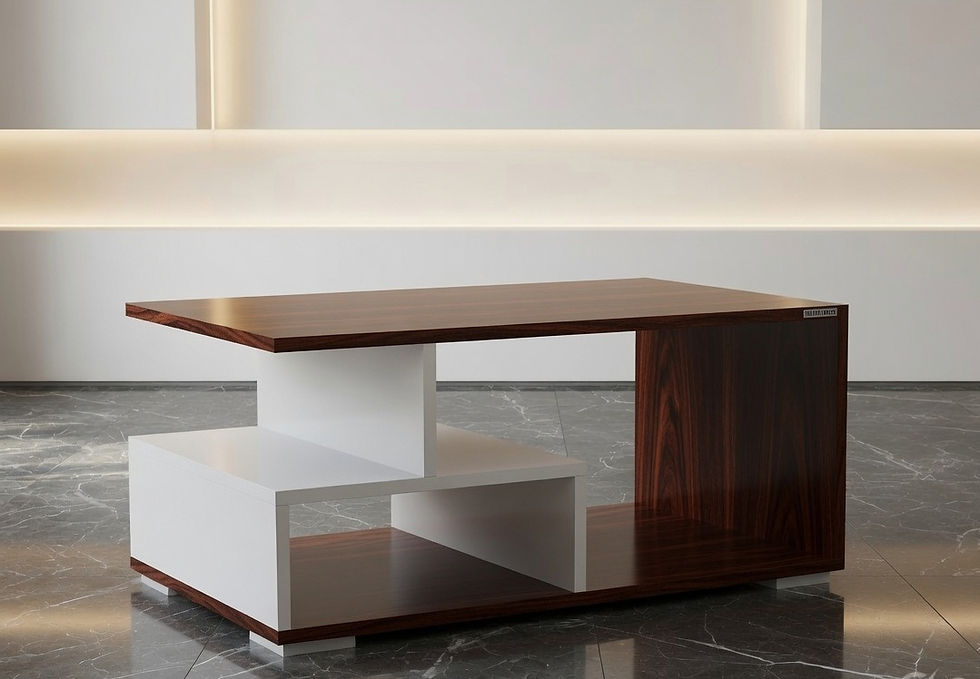 Premium Coffee Table With Storage1