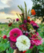Pick Your Own Flowers: Sunset