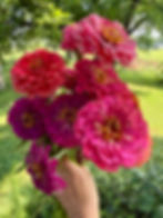 Back to School Blooms