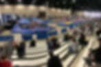 IMG_3426.jpeg