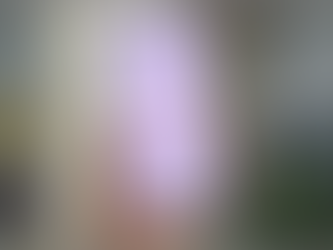 How do I know if a refurbished phone seller is trustworthy?