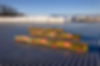 NewColumbia-3093.jpg