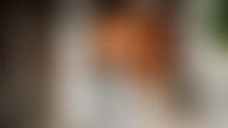 Modern kitchen with island and glass cabinets