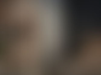 VelArt custom modern built-in closet with doors, Miami