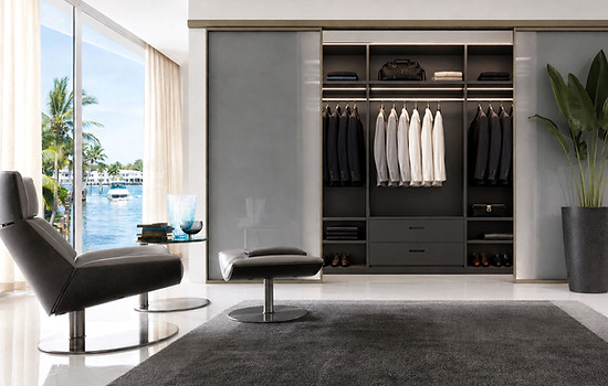 VelArt Custom Built-in Closet with Glass Doors, Miami