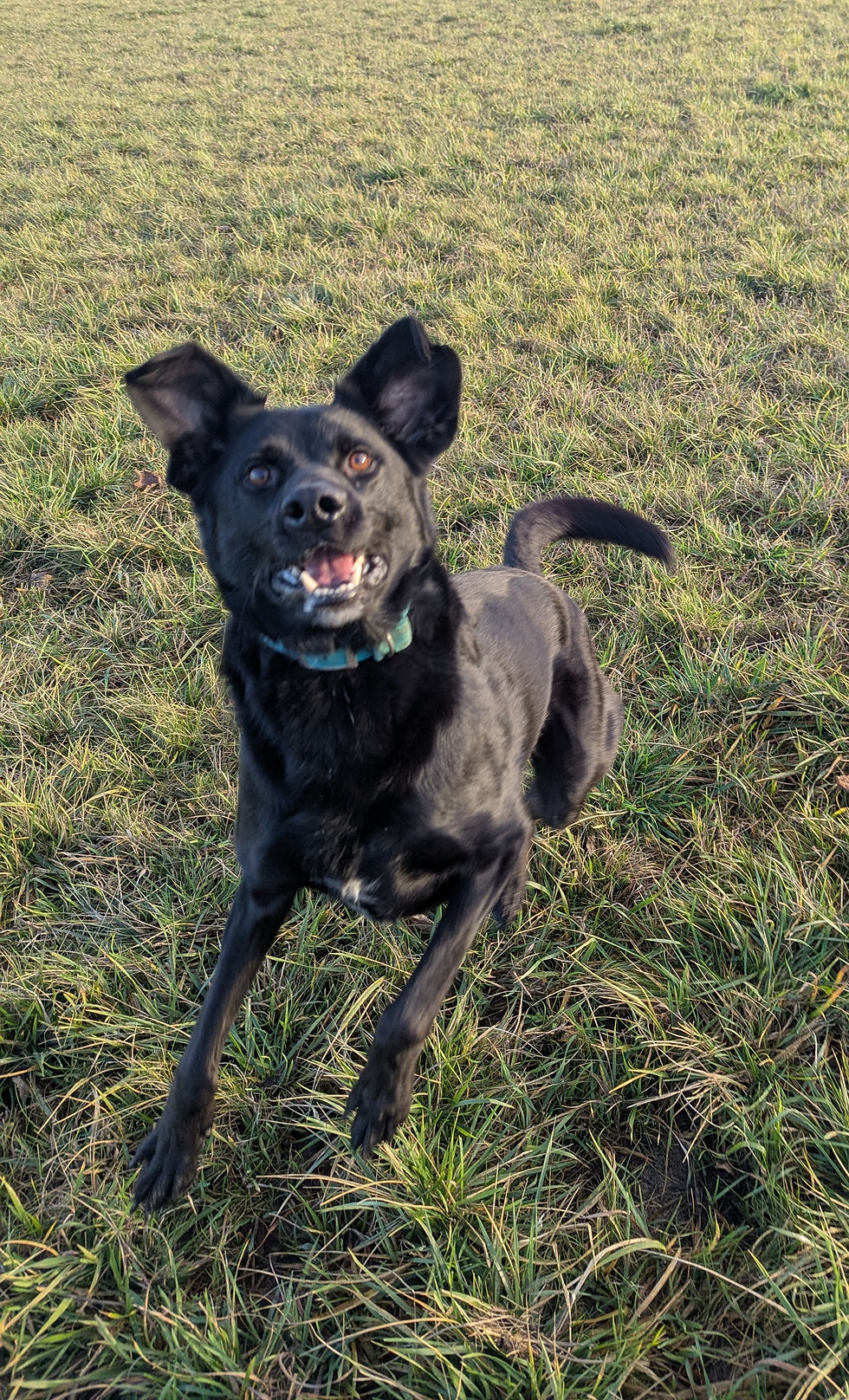 PXL_20251210_142846411