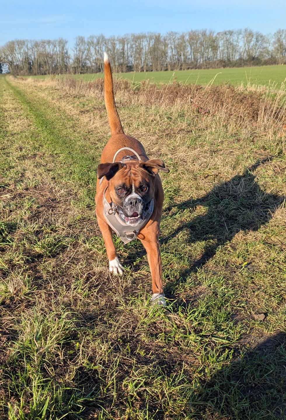 PXL_20251126_111109982_edited