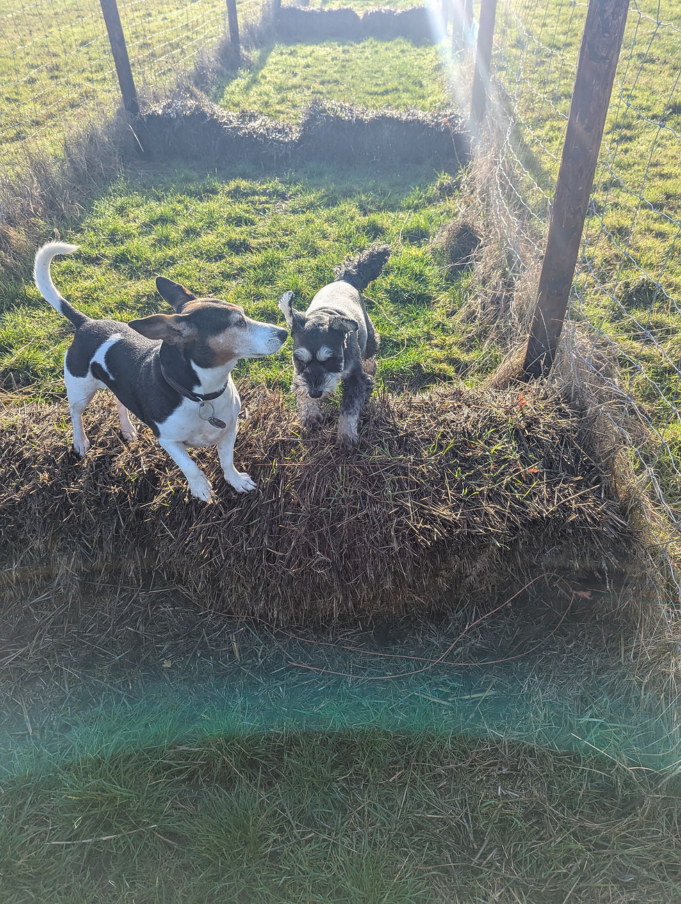 PXL_20251205_113906768