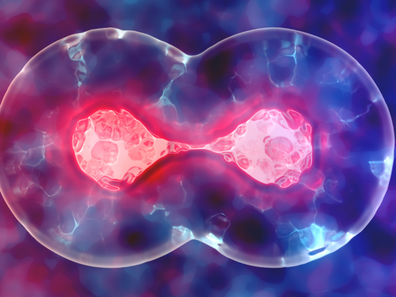 Stem cells regenrating the damaged tissues