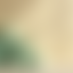 Partnered Real Estate Movers for Seamless Property Transactions