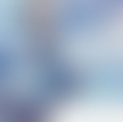 Which Charts and Metrics do You Prefer to Display Value and Risk?