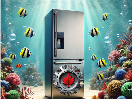 Your Refrigerator Feeling Submerged?