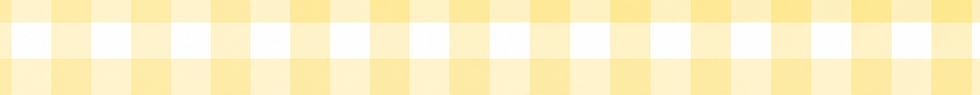 Pastel Yellow Gingham Banner_edited.jpg