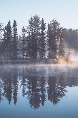 Wooded lake island_edited.jpg