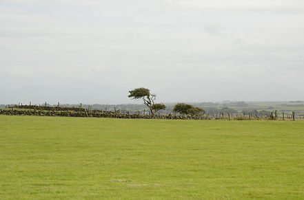 DSC_9071.JPG