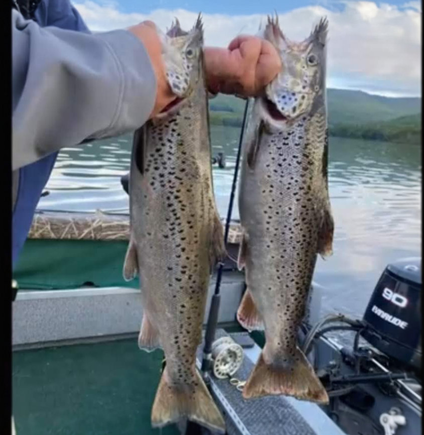 West Hill Outfitters
