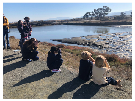 Mountain View private school field trip: Guided Nature Walk Palo Alto Baylands