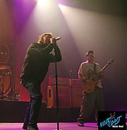 IMG_4324rt.jpg