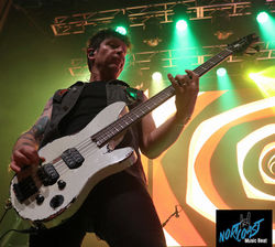 Ronnie Ficarro Mammoth