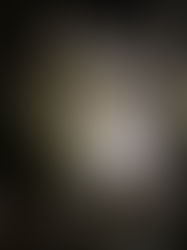 com'è la vista di un gatto