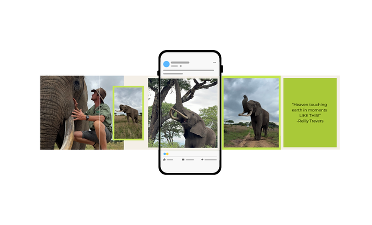 Wildlife Conservationist Motion Graphic Carousel