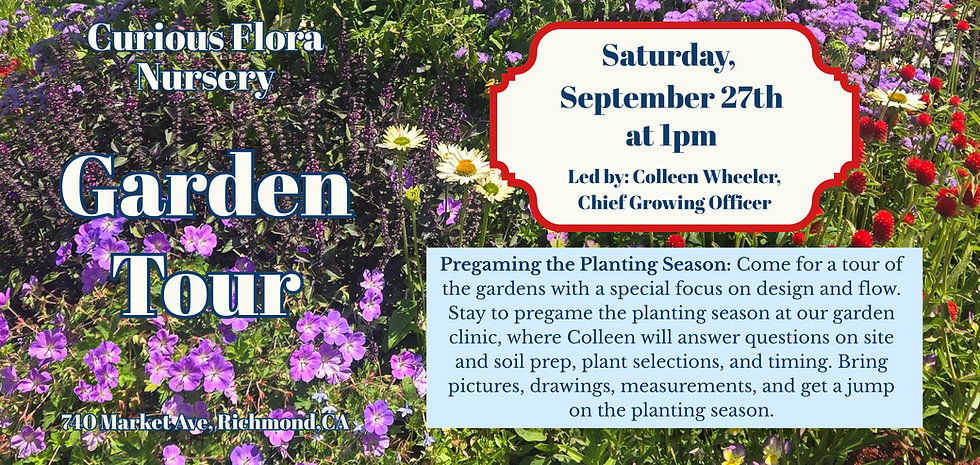 Colleen Garden Pregame Web Banner.png