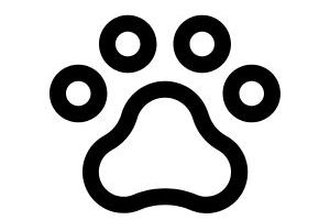 Pet insurance icon