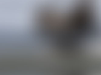 Helm coaching with data: reduce WBV exposure without slowing the job