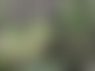 The Place I Call Home