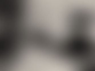 Love and Order in a Goose's Life