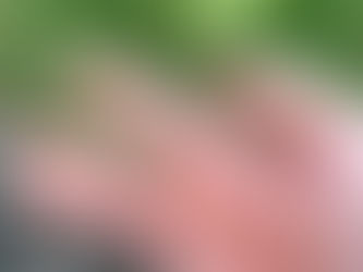 A Weed by any Other Name