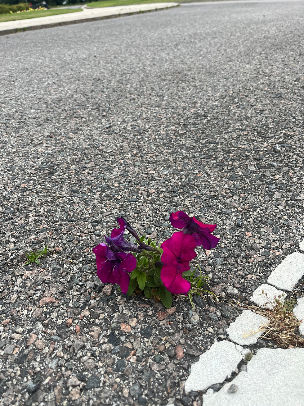 Nature Finds a Way