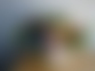 開院祝いのご注文