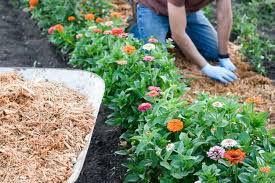 How to Edge and Mulch Flower Beds