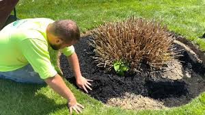 How to Edge and Mulch Flower Beds | Expert Tips for a Perfect Finish