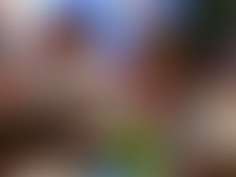 Team Building Activities in Goa for Unforgettable Corporate Experiences