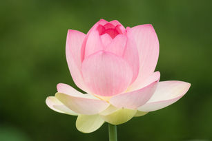 God Enables The Disabled