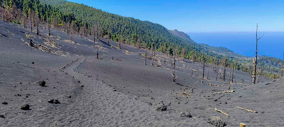 tour-privado-volcan-la-palma