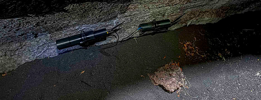 La visita guiada al tubo volcánico Cueva de Las Palomas La Palma-008--.jpg