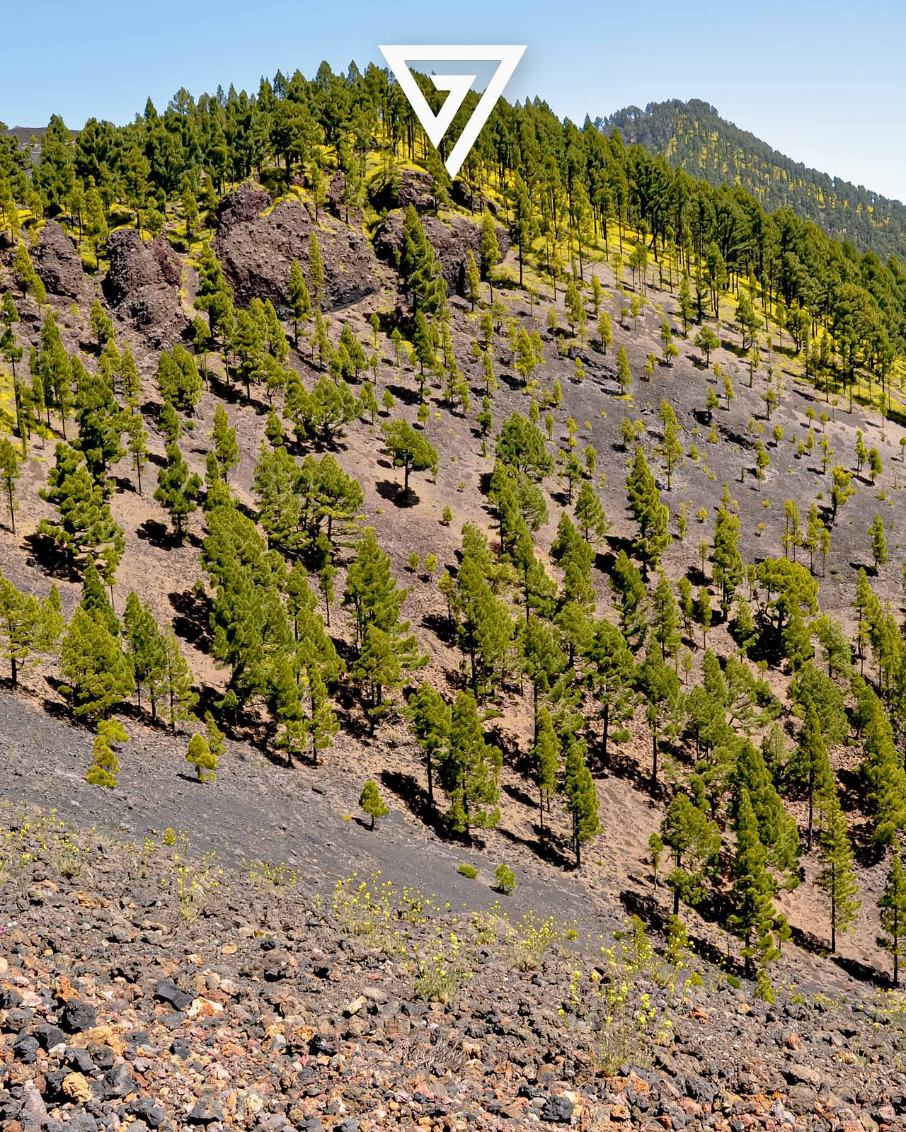 qué ver en La Palma en 4 días ruta de los volcanes la palma
